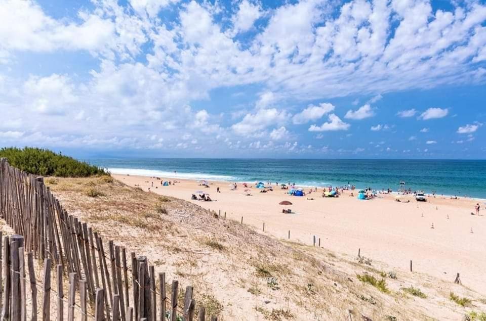 T2 Antigua Ondres Plage Avec Piscine Et Tennis 外观 照片
